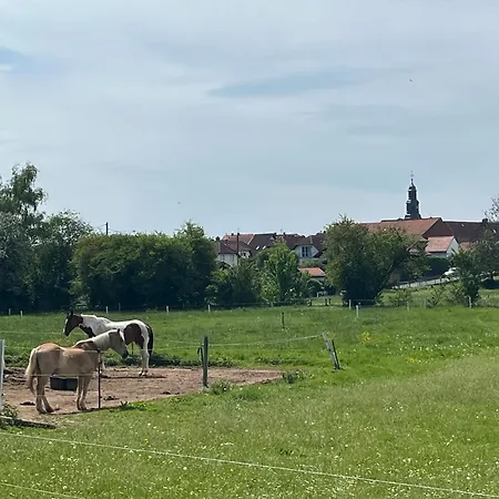 Lipps Apartamento Hammersbach (Main-Kinzig)