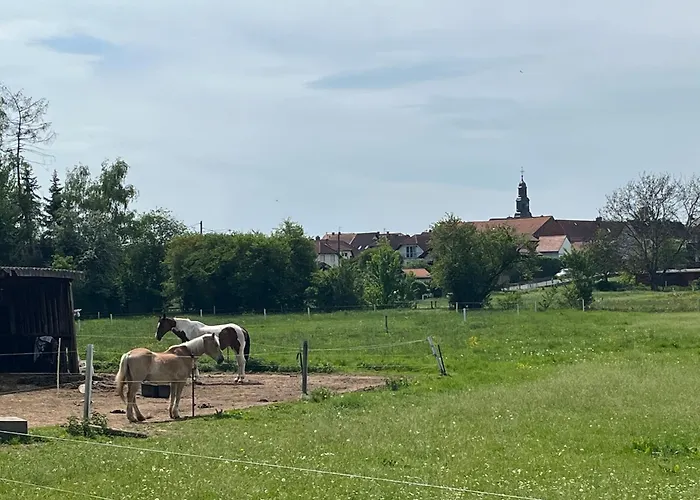 Lipps Apartman Hammersbach